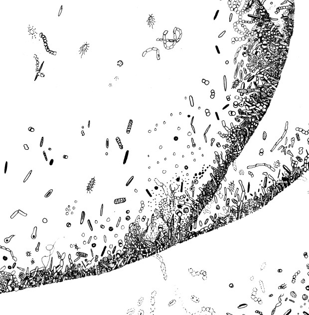 detail1 - Kate Schwarting